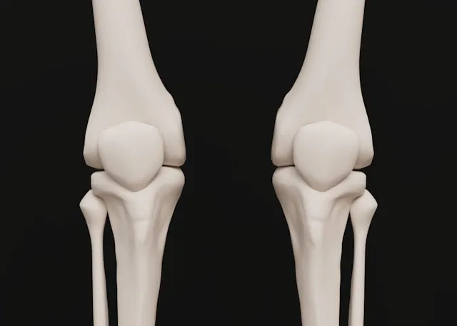 “계단 오를 때 ‘우두둑’ 소리 나는 순간, 저는 뼈엔 엠비피부터 찾았습니다”