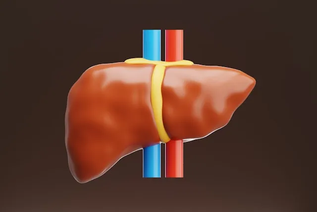 “야근 많은데 검사 수치까지 신경 쓰이기 시작하면, 결국 하나씩 찾게 되더라고요”