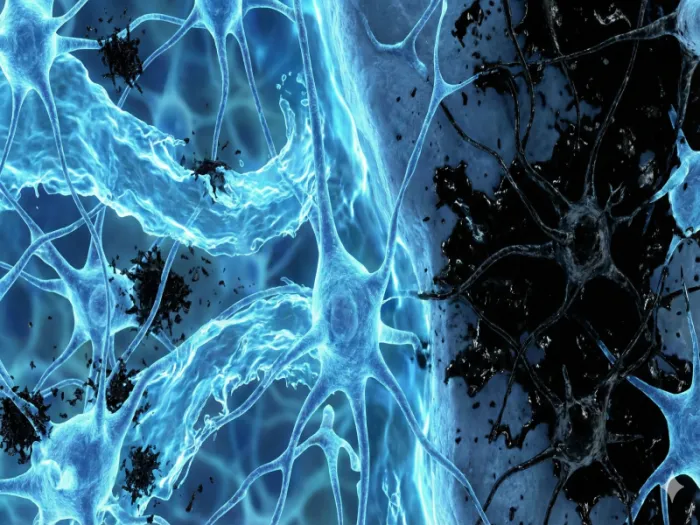 [폭로] 잠 못 자면 뇌가 '쓰레기장' 된다? 니 뇌를 매일 밤 씻어내지 않으면 벌어지는 끔찍한 일 (멜라토닌의 진실)