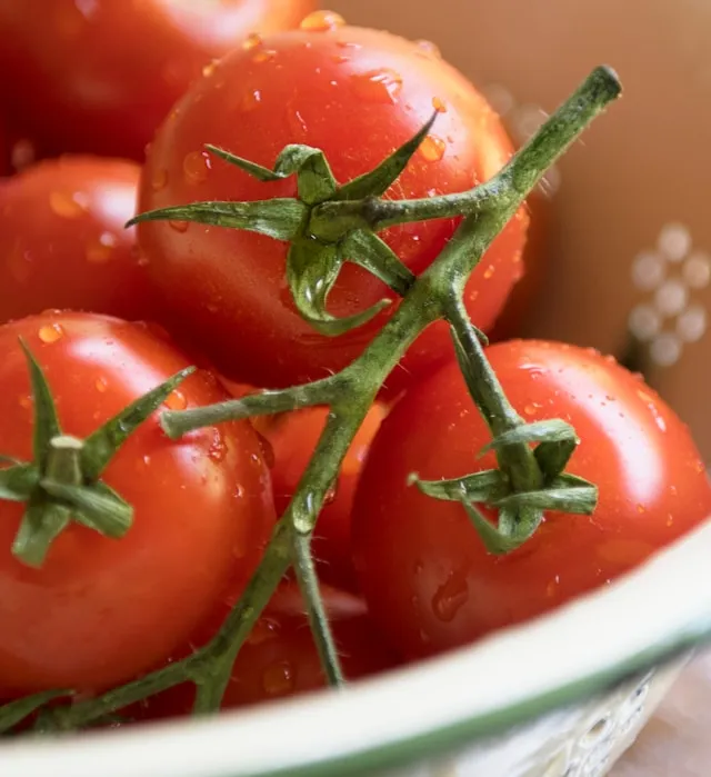 "올리브오일, 제발 생으로 마시지 마세요!" 올바인 토마토샷, 당신의 아침이 '빨개지는' 이유